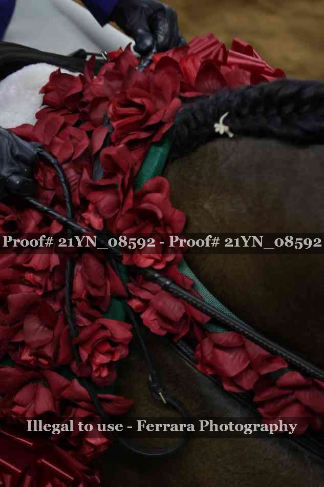 Proof 21YN_08592