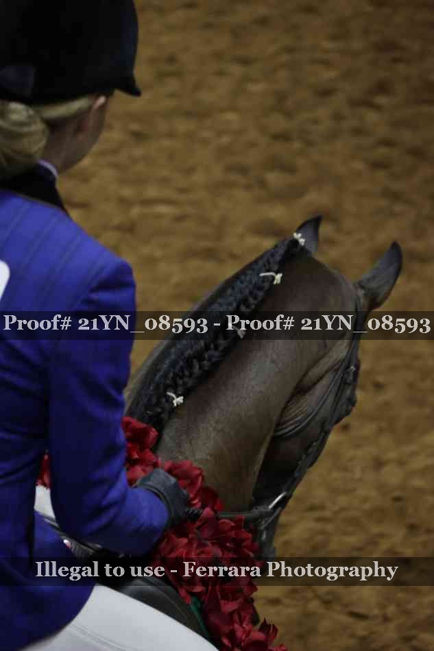 Proof 21YN_08593