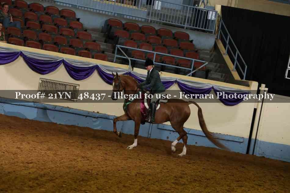 Proof 21YN_48437