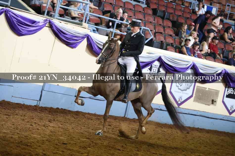Proof 21YN_34042