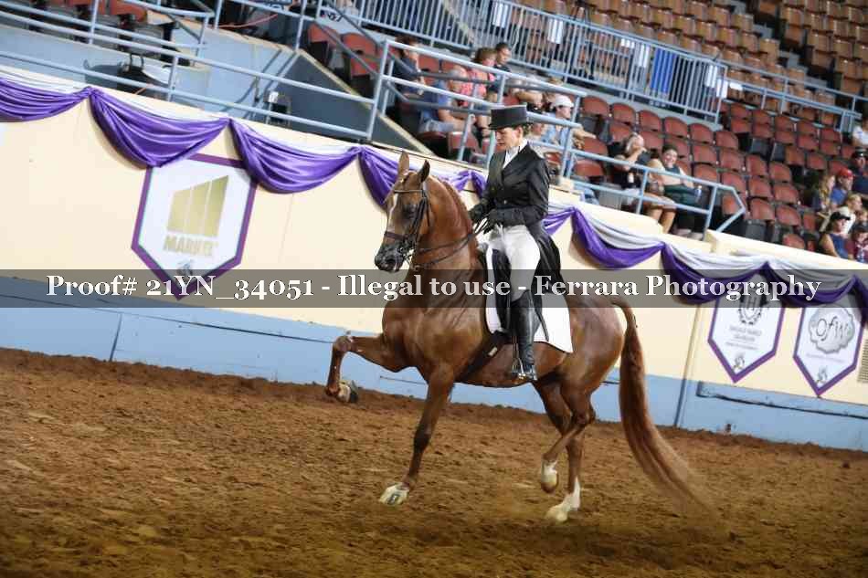 Proof 21YN_34051