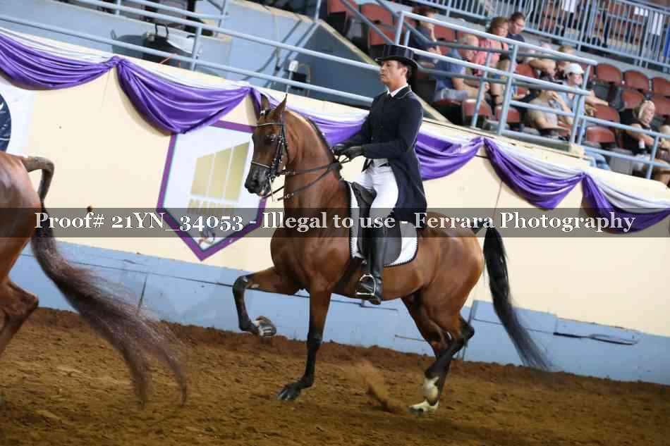 Proof 21YN_34053