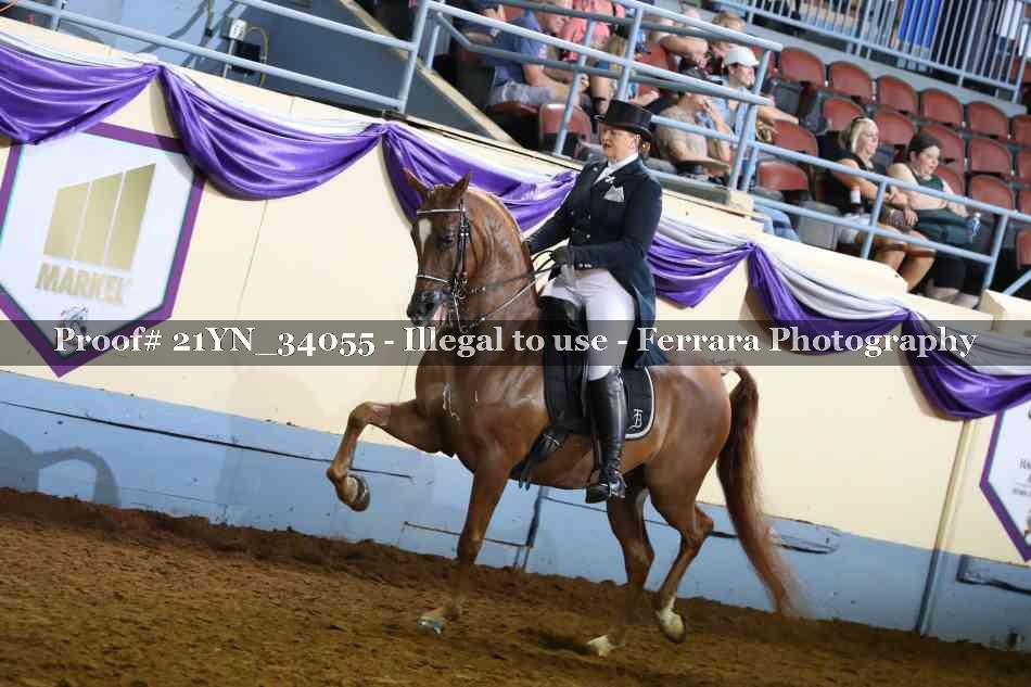 Proof 21YN_34055