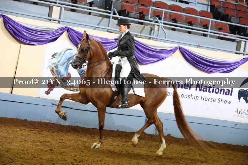 Proof 21YN_34065