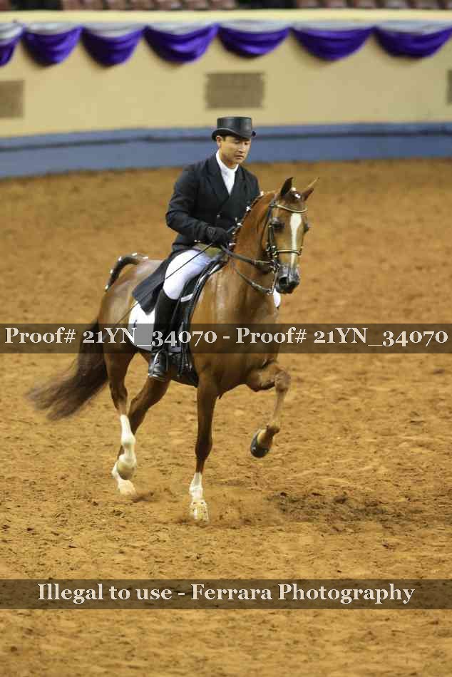 Proof 21YN_34070