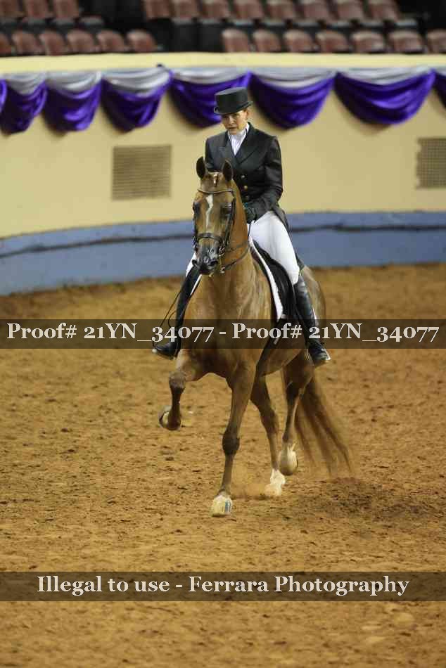 Proof 21YN_34077