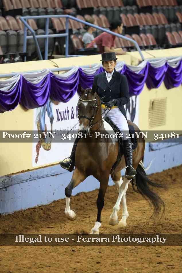Proof 21YN_34081