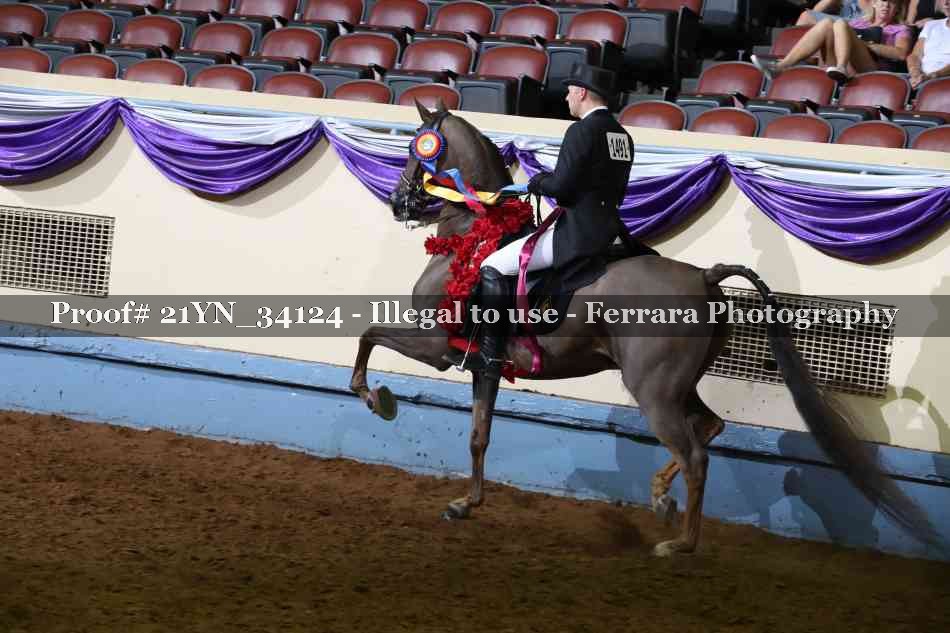 Proof 21YN_34124