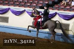 21YN_34124 proof