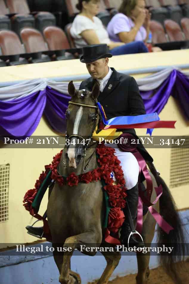 Proof 21YN_34147