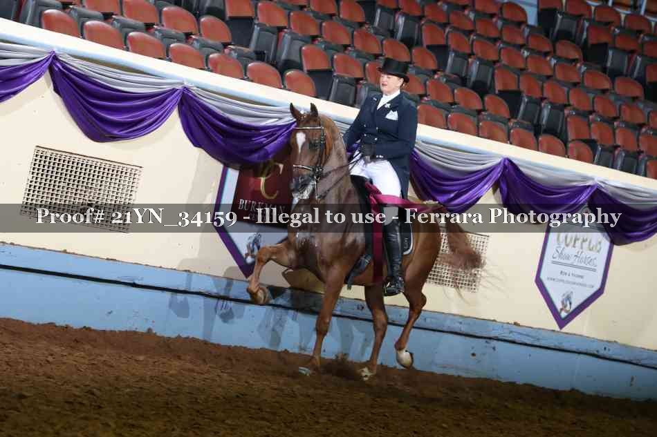 Proof 21YN_34159