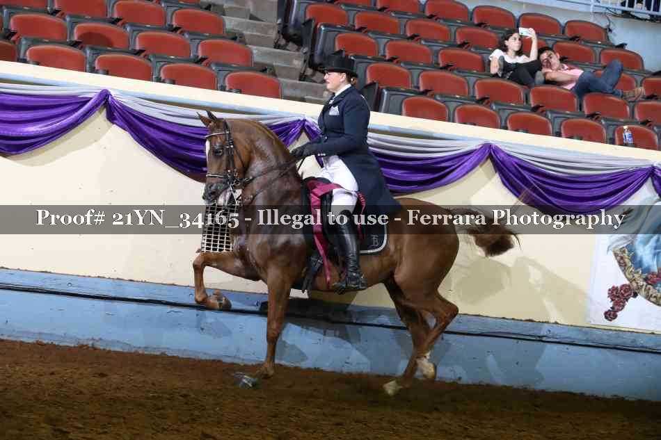 Proof 21YN_34165