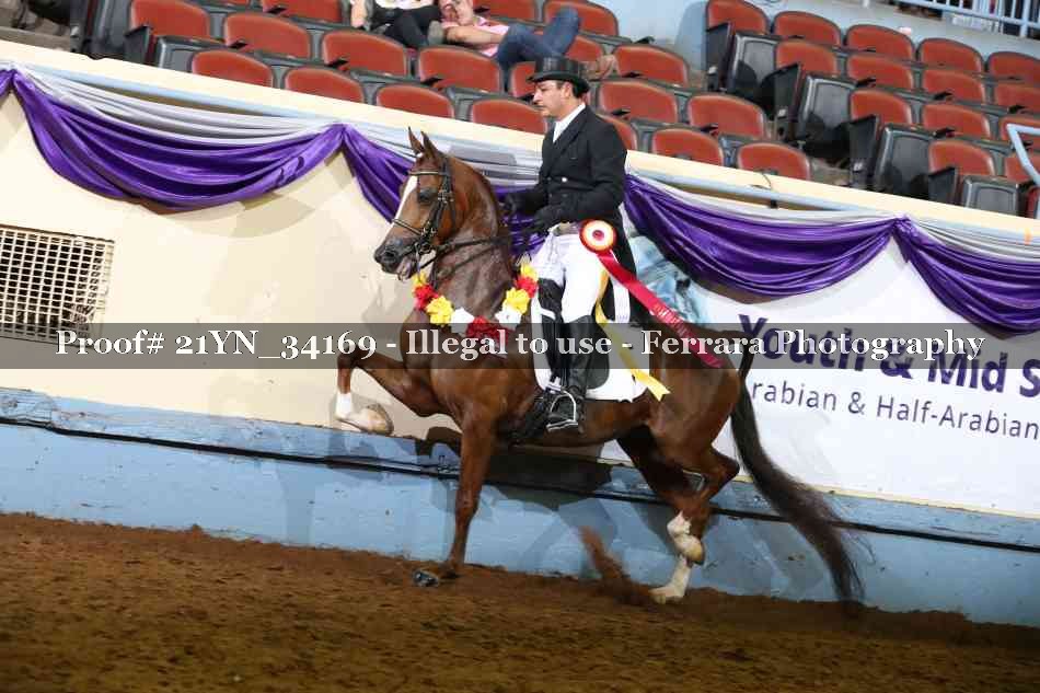 Proof 21YN_34169