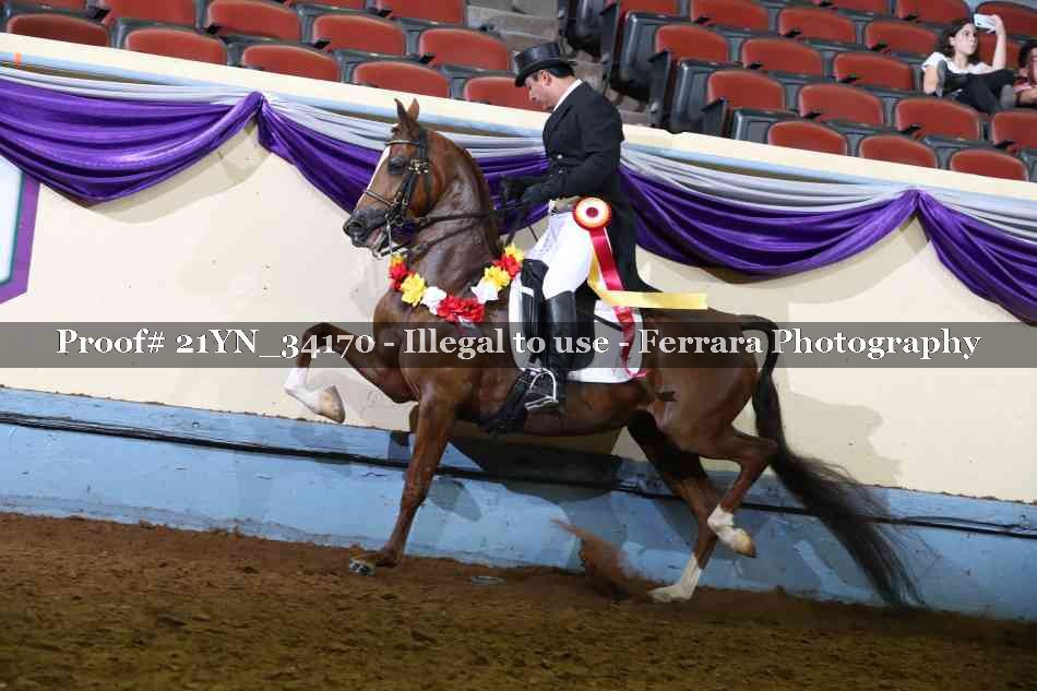Proof 21YN_34170