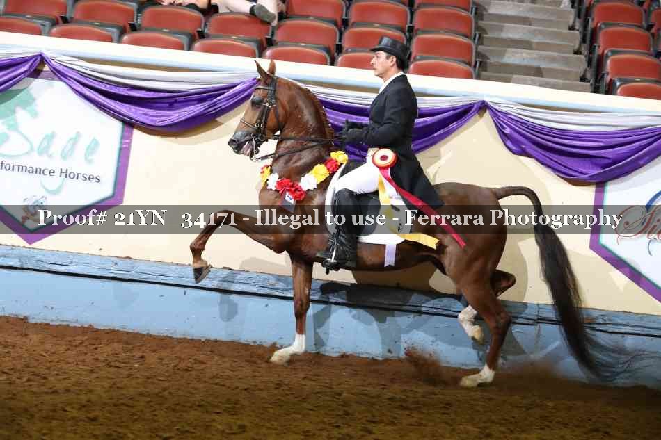 Proof 21YN_34171