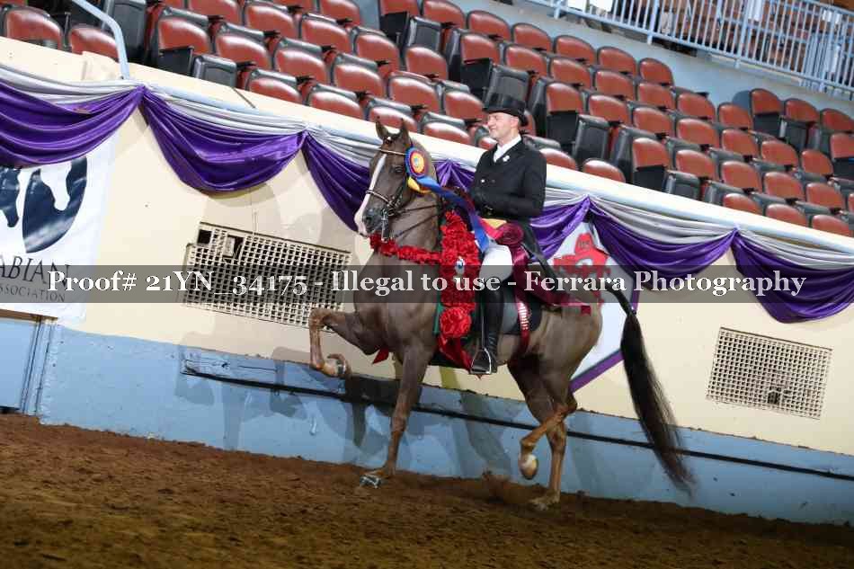 Proof 21YN_34175