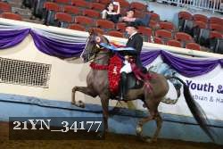 21YN_34177 proof