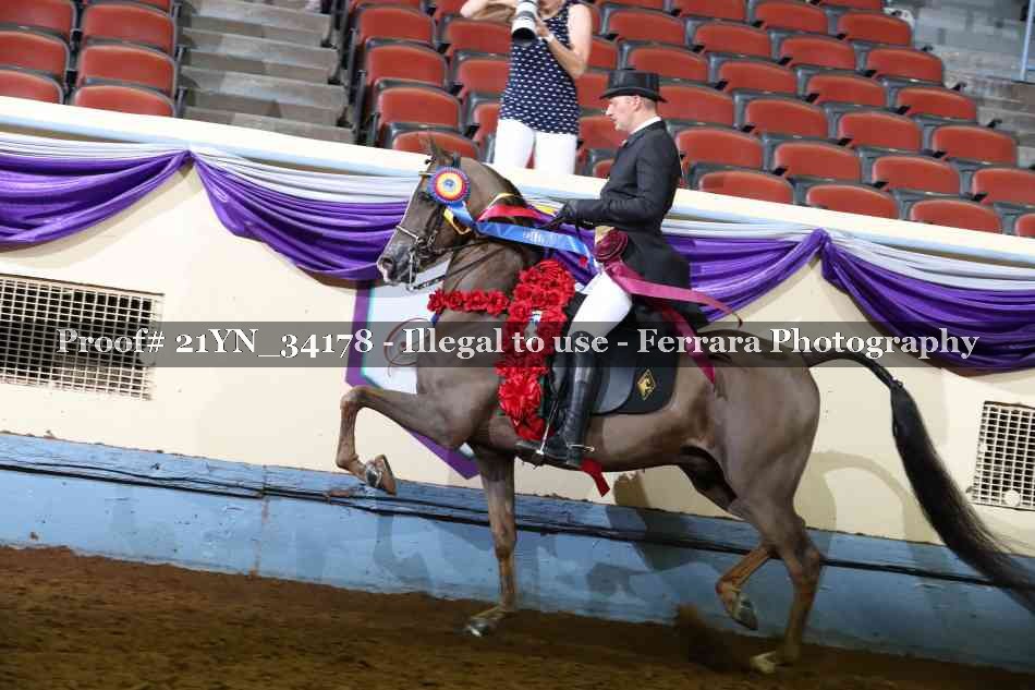 Proof 21YN_34178
