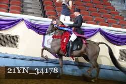 21YN_34178 proof
