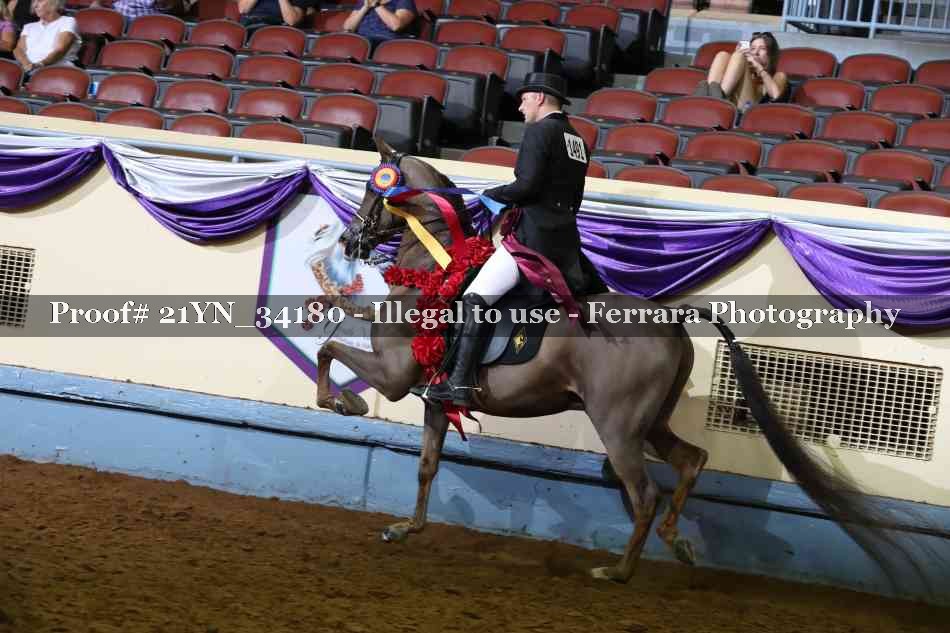 Proof 21YN_34180