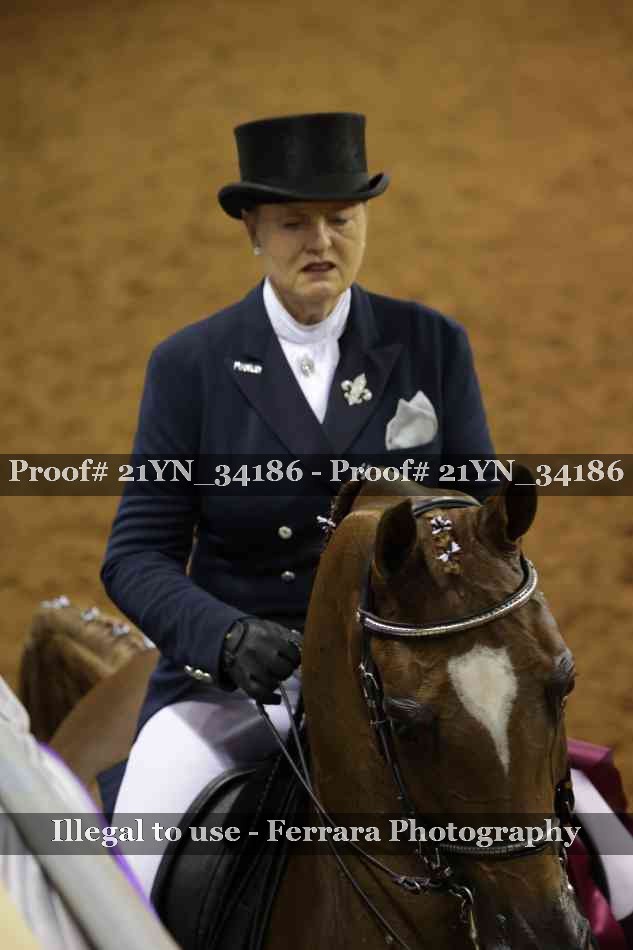 Proof 21YN_34186