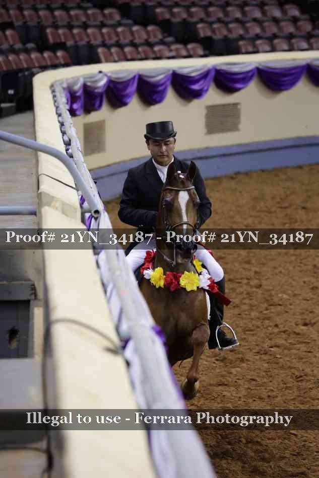 Proof 21YN_34187