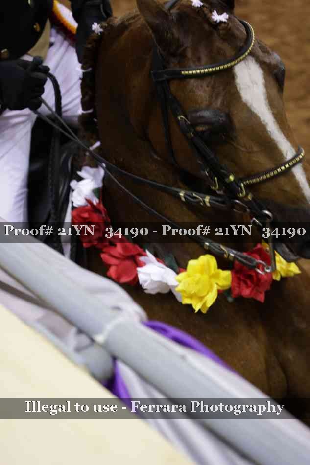 Proof 21YN_34190