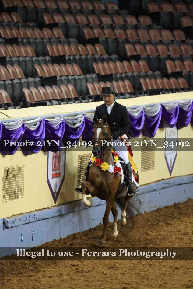 Proof 21YN_34192