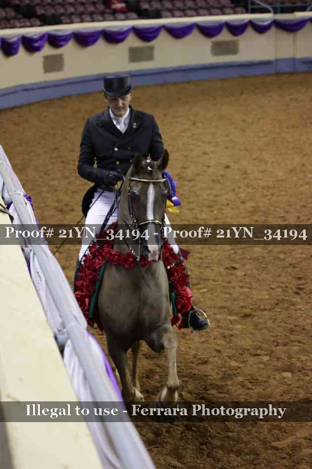 Proof 21YN_34194
