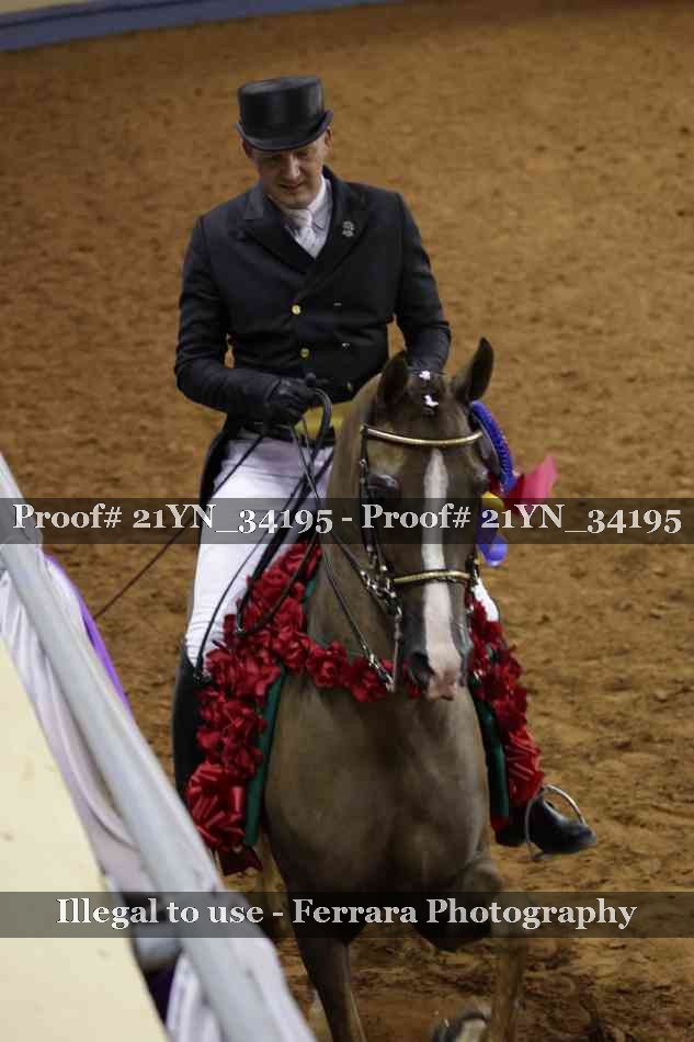 Proof 21YN_34195