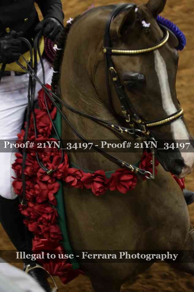 Proof 21YN_34197