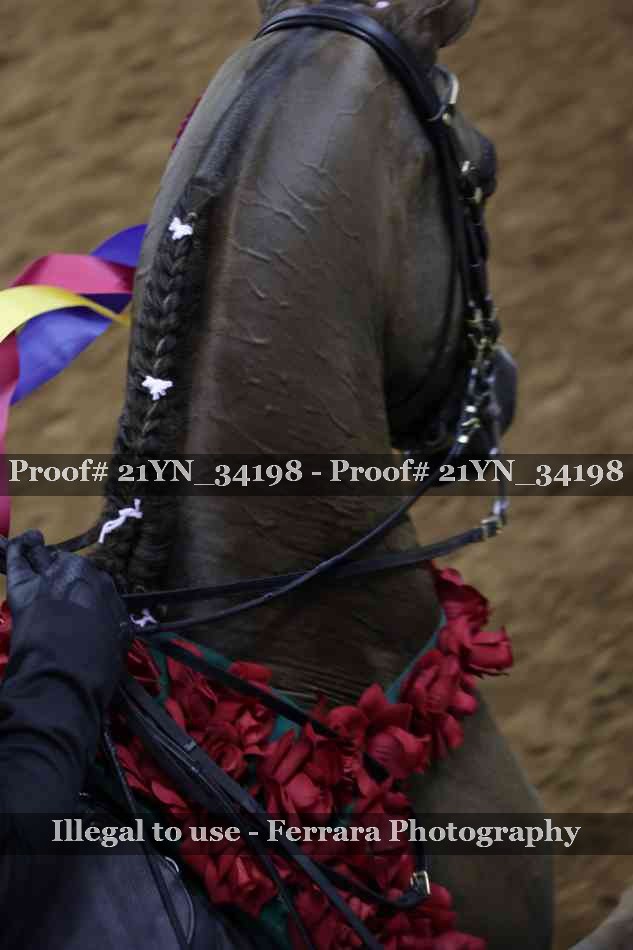 Proof 21YN_34198