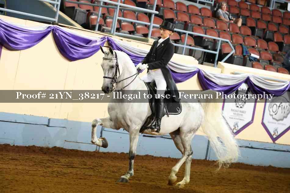 Proof 21YN_38217