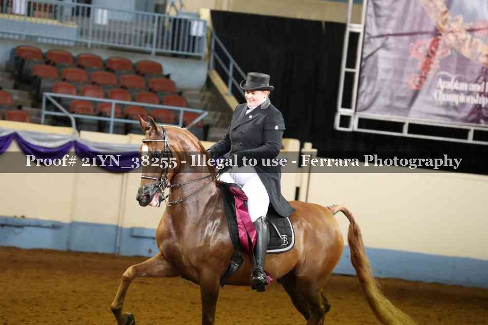 Proof 21YN_38255