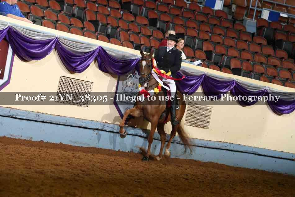 Proof 21YN_38305