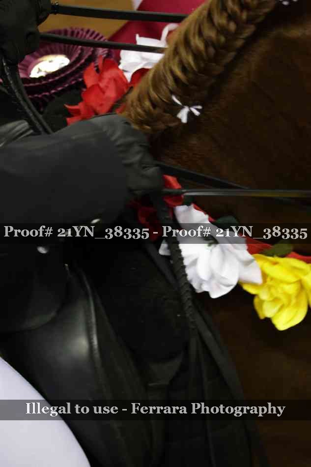 Proof 21YN_38335