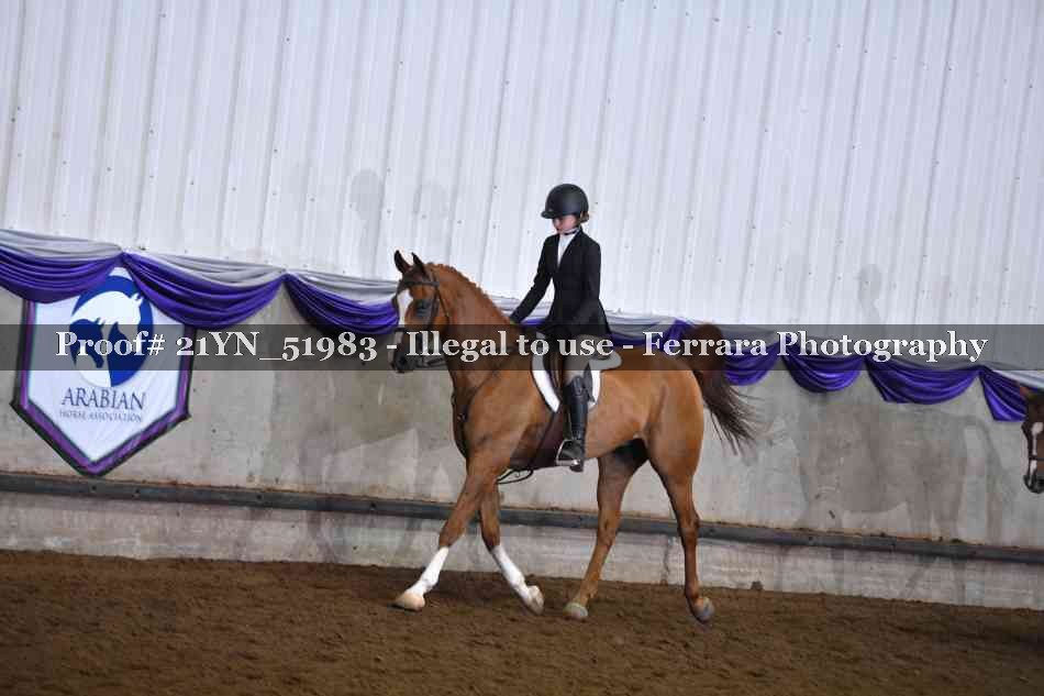 Proof 21YN_51983