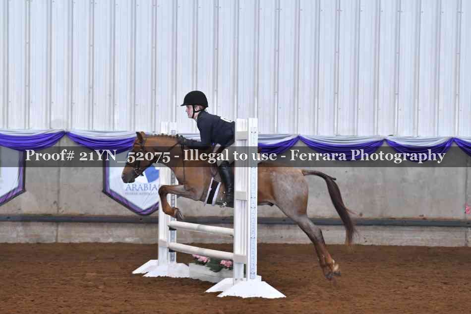 Proof 21YN_52075