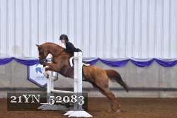 21YN_52083 proof