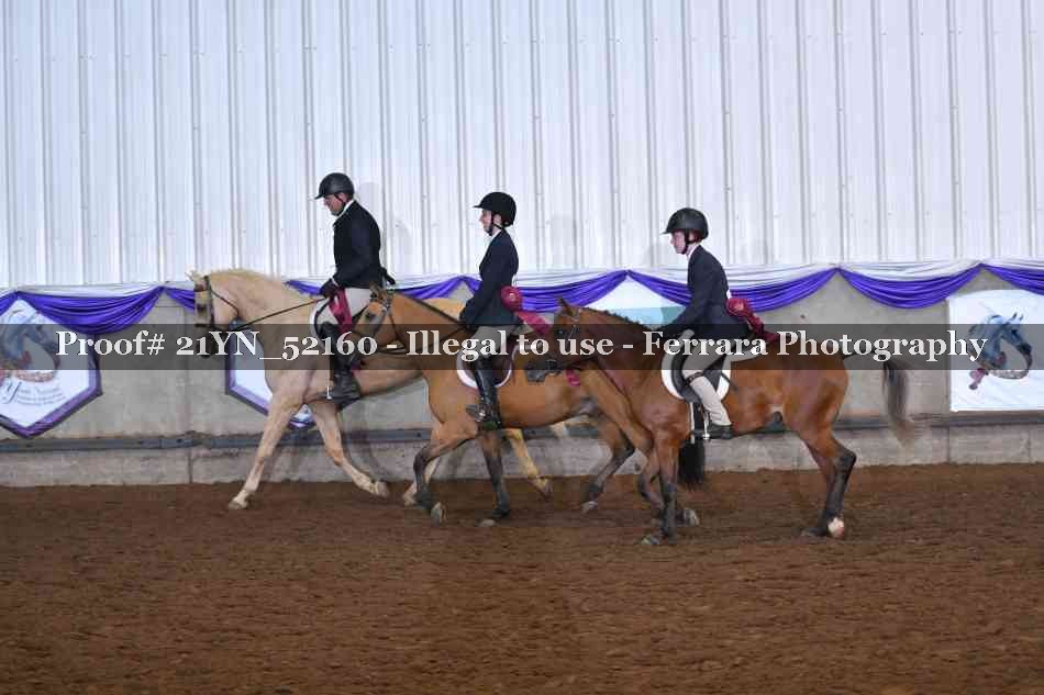 Proof 21YN_52160