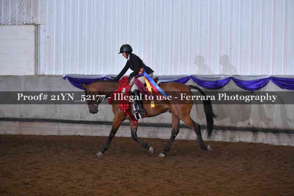 Proof 21YN_52177