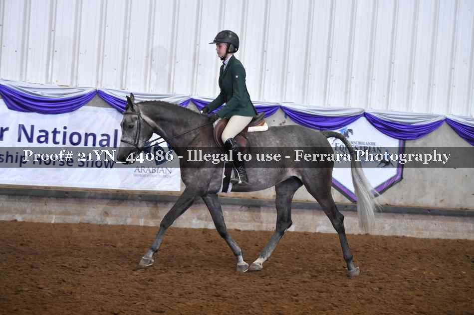 Proof 21YN_44086