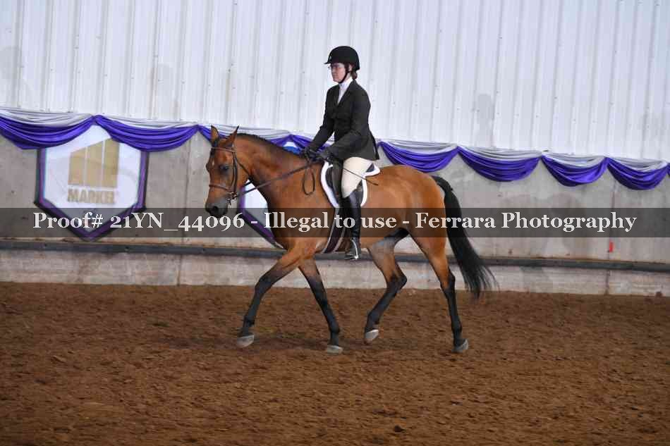 Proof 21YN_44096