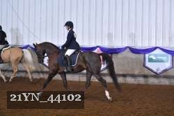 21YN_44102 proof