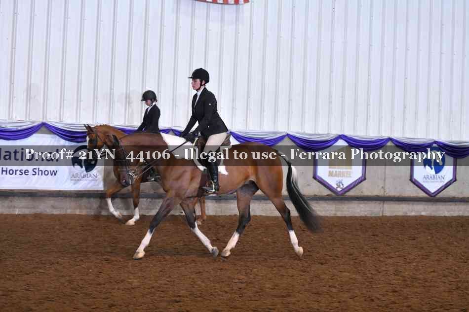 Proof 21YN_44106