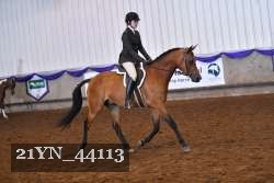 21YN_44113 proof