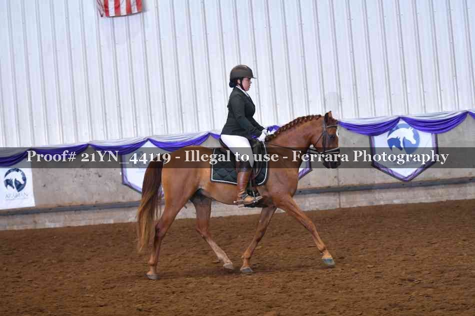 Proof 21YN_44119