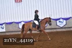 21YN_44119 proof