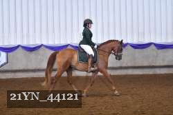 21YN_44121 proof