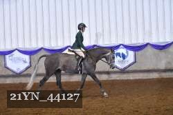 21YN_44127 proof